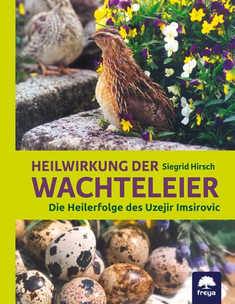 Heilwirkung der Wachteleier