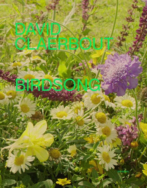 David Claerbout – Birdsong