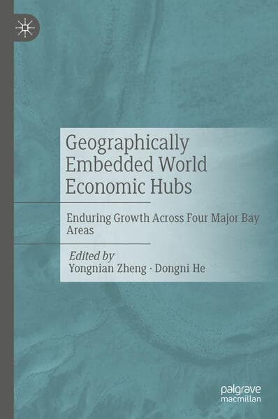 Geographically Embedded World Economic Hubs