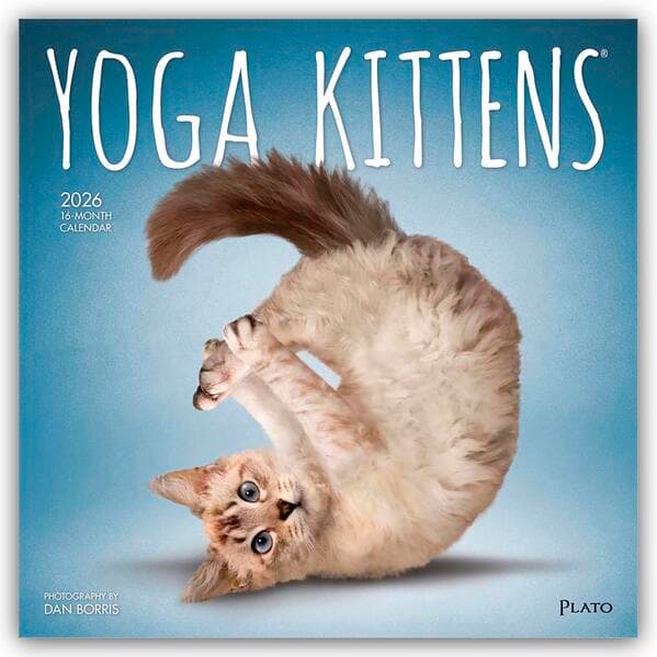 Yoga Kittens - Kätzchen Yoga 2026 - 16-Monatskalender