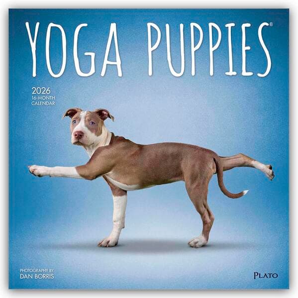 Yoga Puppies - Welpen Yoga 2026 - 16-Monatskalender
