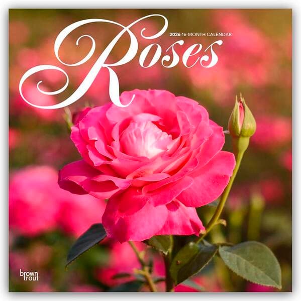 Roses - Rosen 2026 - 16-Monatskalender
