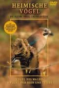 Heimische Vögel - Vögel des Waldes und Vögel der Seen und Teiche