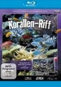 Korallenriff HD