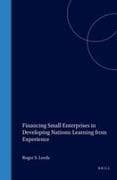 Financing Small Enterprises in Developing Nations: Learning from Experience