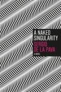 A Naked Singularity