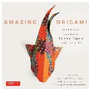 Amazing Origami Kit
