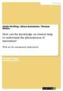 How can the knowledge on clusters help to understand the phenomenon of innovation?