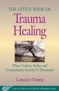 Little Book of Trauma Healing