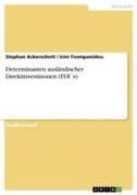 Determinanten ausländischer Direktinvestitionen (FDI´s)