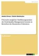 Übersicht möglicher Einführungsansätze des Total-Quality-Management-Systems in Betrieben der Russischen Föderation
