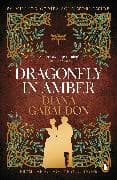Dragonfly in Amber