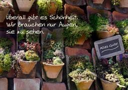 Überall gibt es Schönheit. Wir brauchen nur Augen, sie zu sehen