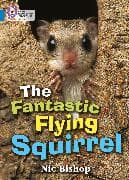The Fantastic Flying Squirrel