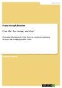 Can the Eurozone survive?