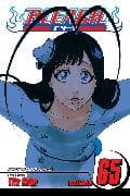 Bleach Volume 65