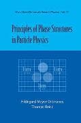 Principles Of Phase Structures In Particle Physics
