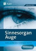 Sinnesorgan Auge