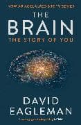The Brain
