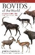 Bovids of the World