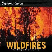 Wildfires