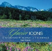 Glacier Icons