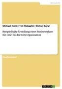 Beispielhafte Erstellung eines Businessplans für eine Tischlereireorganisation