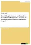 Entwicklung der Banken- und Finanzkrise. Wie haben die Europäische Union und die Bundesrepublik Deutschland auf die Krise reagiert?