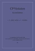 Cp Violation