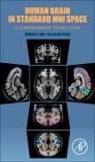 Human Brain in Standard Mni Space