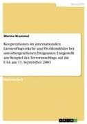 Kooperationen im internationalen Lienienflugverkehr und Problemfelder bei unvorhergesehenen Ereignissen. Dargestellt am Beispiel des Terroranschlags auf die USA am 11. September 2001