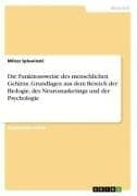 Die Funktionsweise des menschlichen Gehirns. Grundlagen aus dem Bereich der Biologie, des Neuromarketings und der Psychologie