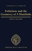 Foliations and the Geometry of 3-Manifolds