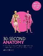 30-Second Anatomy