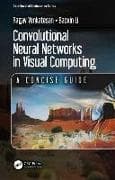 Convolutional Neural Networks in Visual Computing