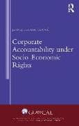 Corporate Accountability under Socio-Economic Rights