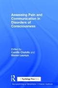 Assessing Pain and Communication in Disorders of Consciousness
