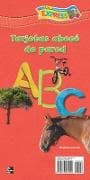 DLM Early Childhood Express, Alphabet Wall Cards Spanish