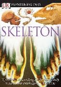 Eyewitness DVD: Skeleton