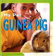 Guinea Pig