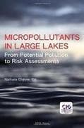 Micropollutants in Large Lakes