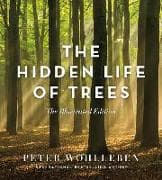 The Hidden Life of Trees: The Illustrated Edition