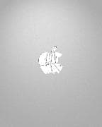 Cult of Mac, The (2nd Edition)