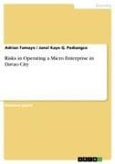 Risks in Operating a Micro Enterprise in Davao City