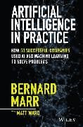 Artificial Intelligence in Practice