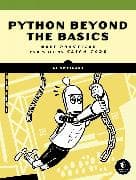Beyond the Basic Stuff with Python