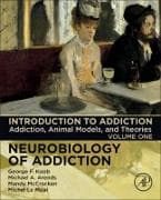 Introduction to Addiction: Volume 1