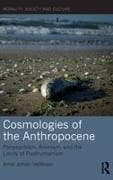 Cosmologies of the Anthropocene