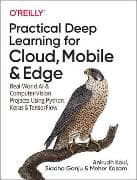 Practical Deep Learning for Cloud and Mobile