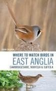 Where to Watch Birds in East Anglia